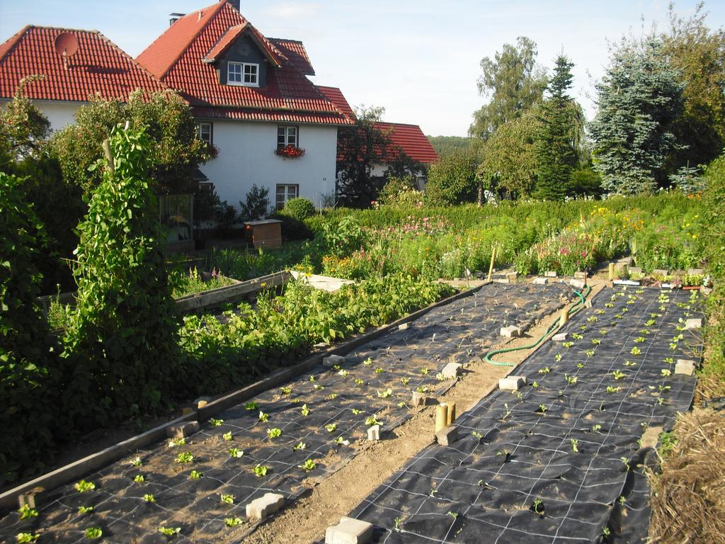 Willekes Bluetenhof Madfeld المظهر الخارجي الصورة