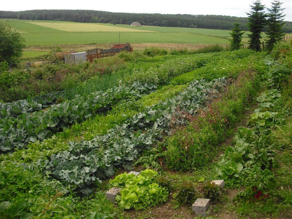 Willekes Bluetenhof Madfeld المظهر الخارجي الصورة